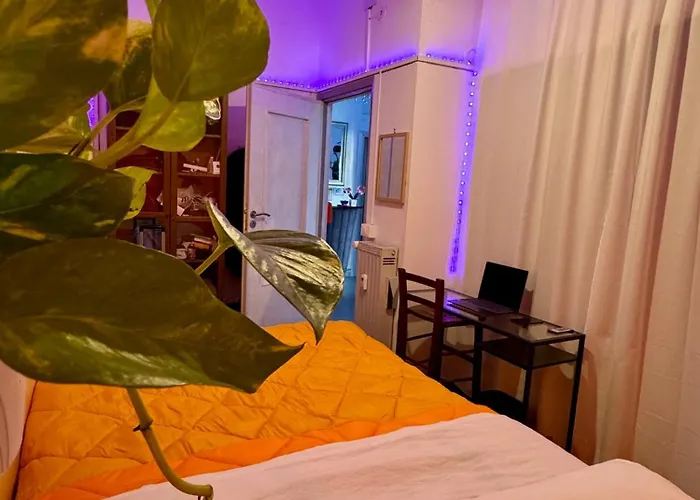 Guest House Romoli